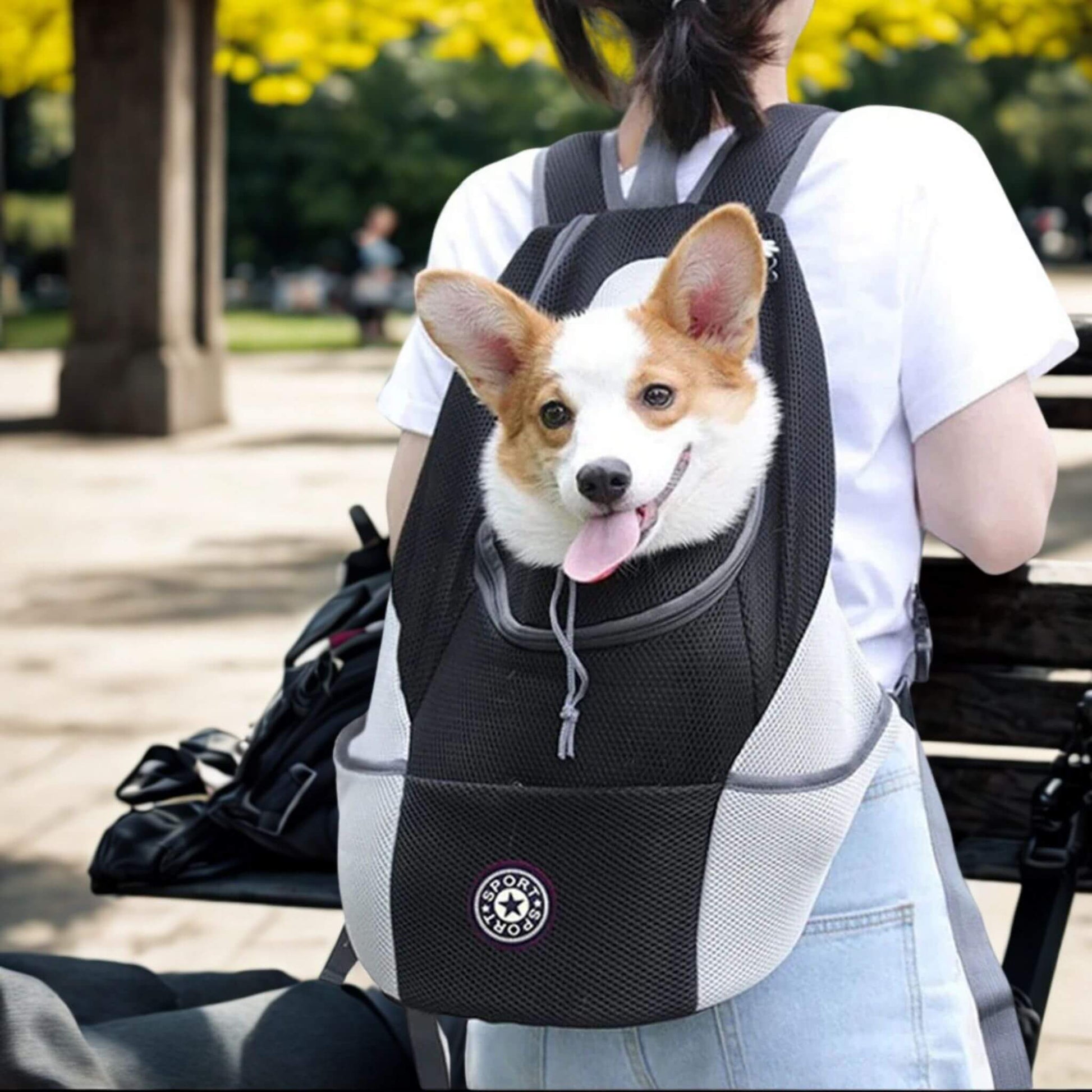 Une femme vue de dos avec un corgi dans son sac à dos pour chien dans un parc