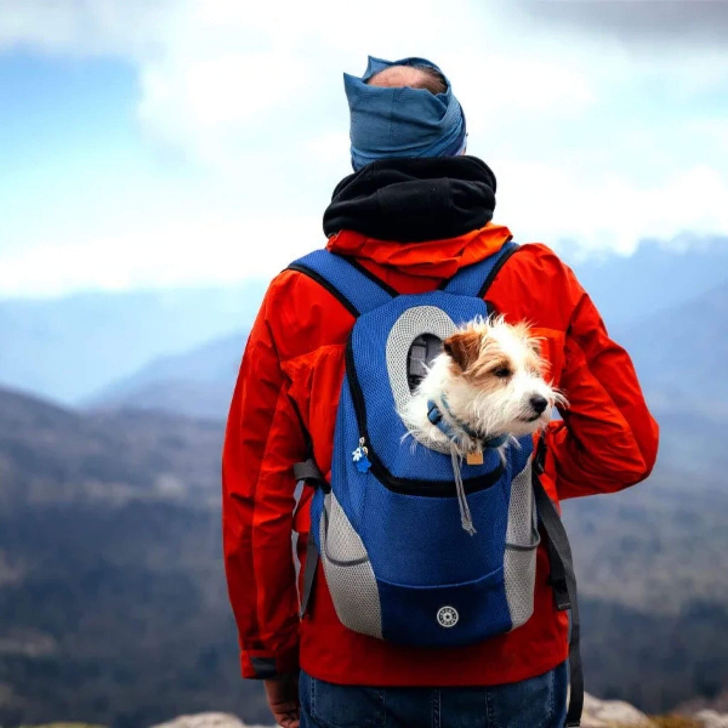 Sac A Dos Chien | SacToutou™️ - Confort et Sécurité - Jolianimaux