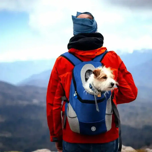 Un homme vu de dos regarde les montagnes avec son Jack Russell dans un sac à dos pour chien bleu.