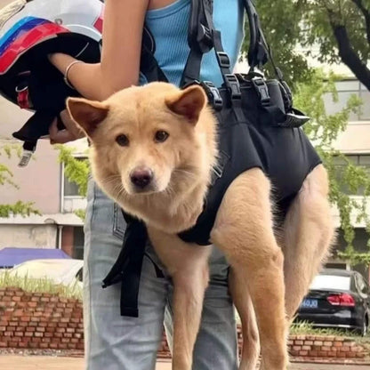 Sac A Dos Chien | WoofGo™️ - Confort Maximal pour vos Balade - Jolianimaux