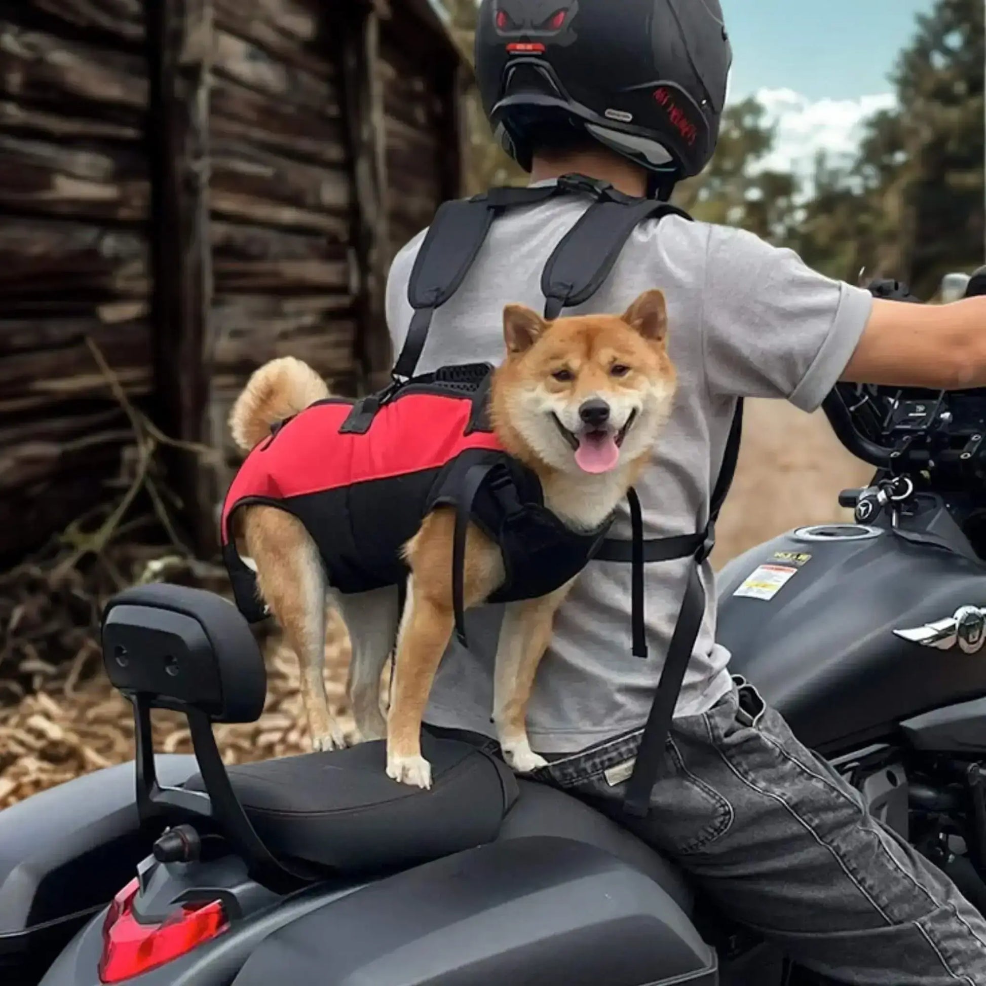 Un homme en moto avec son sac a dos chien portant un shiba roux