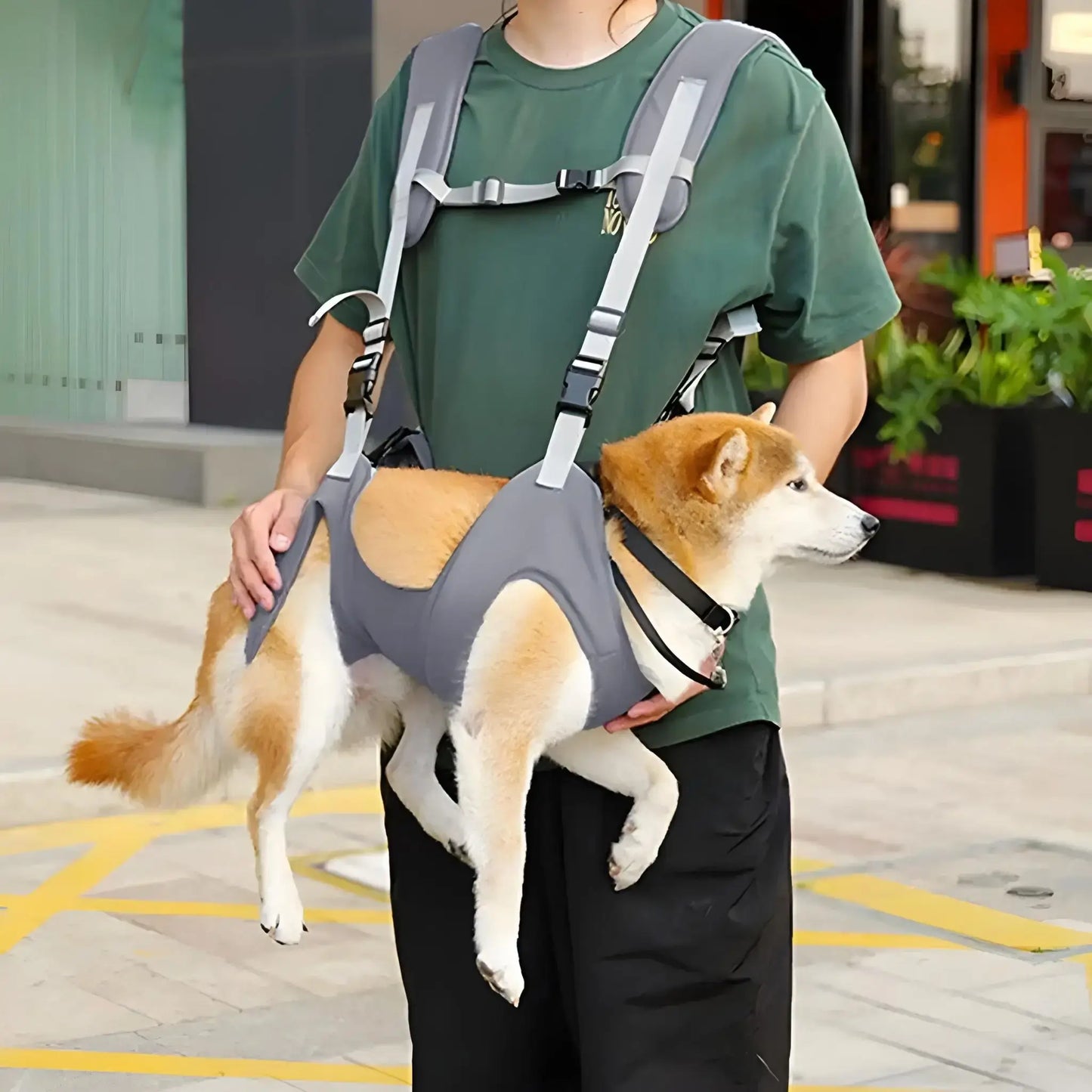 Une femme porte un shiba inu dans un sac à dos de portage pour chien gris.
