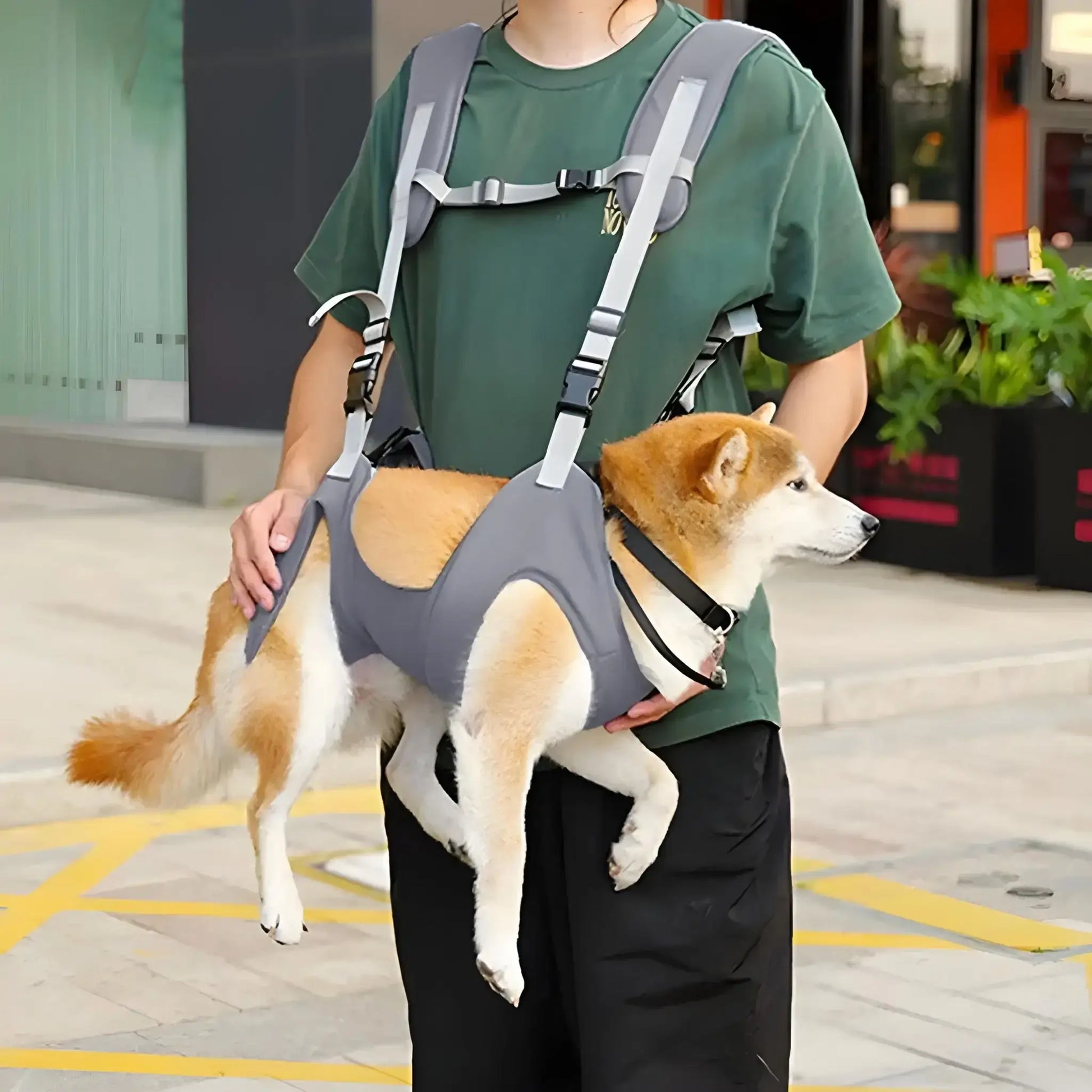 Une femme porte un shiba inu dans un sac à dos de portage pour chien gris.