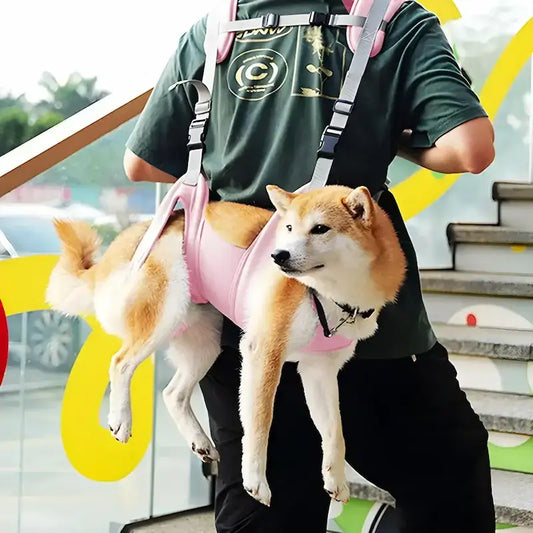 Un homme porte un shiba inu dans un sac à dos de portage rose.