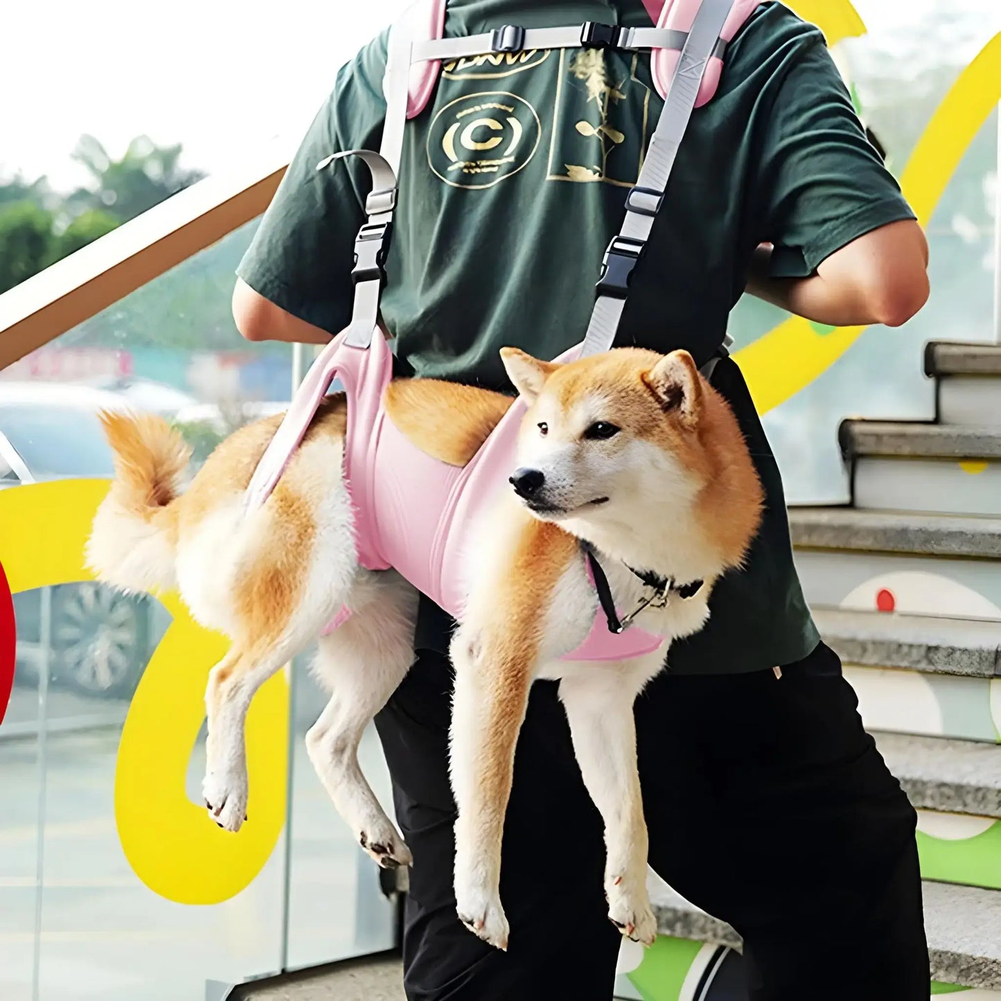 Une femme porte un shiba inu dans un sac à dos de portage pour chien rose.