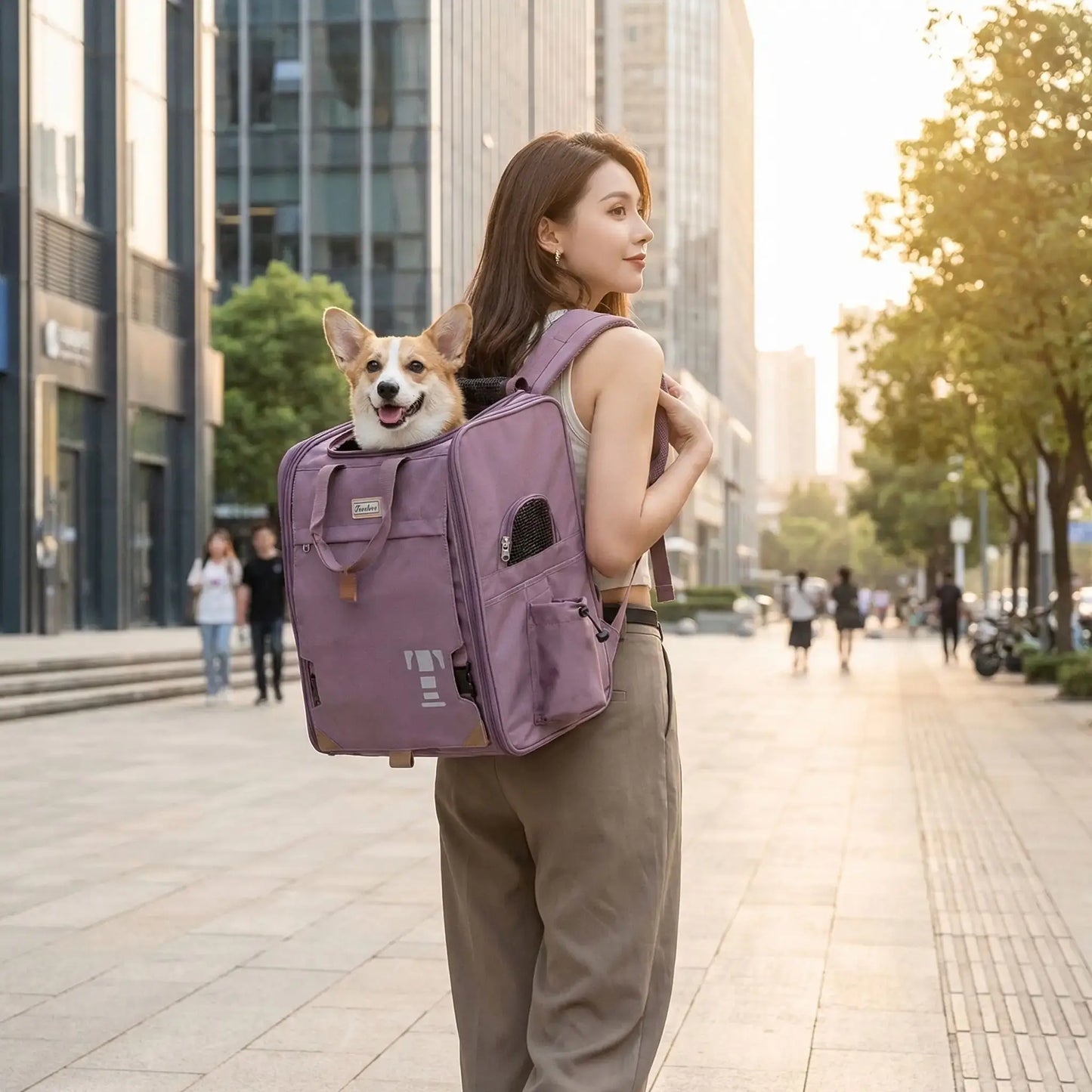 Une femme vue de dos sur un trottoir en ville porte son corgi dans un sac à dos pour chien de 15 kg.