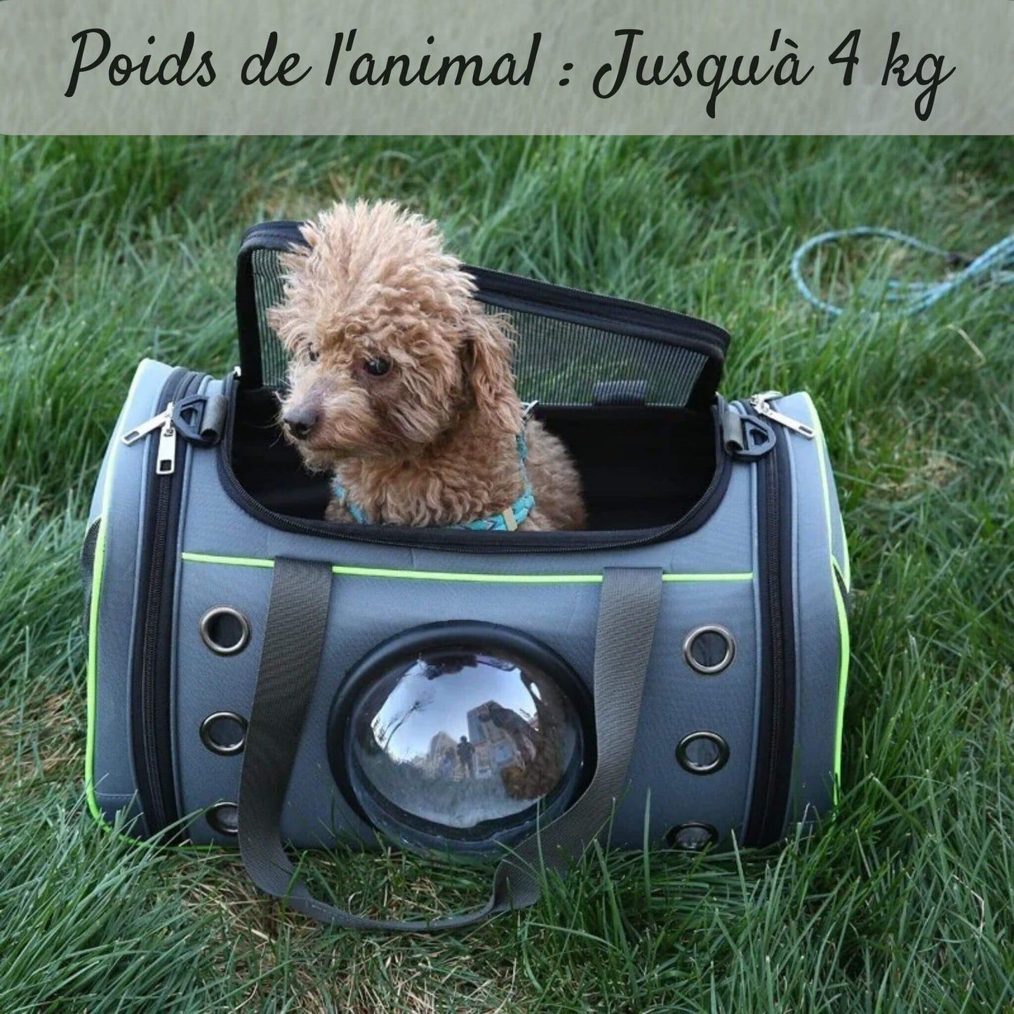 SAC A DOS POUR CHIEN | DogToGo™️ - Idéal Pour Vos Aventure - Jolianimaux