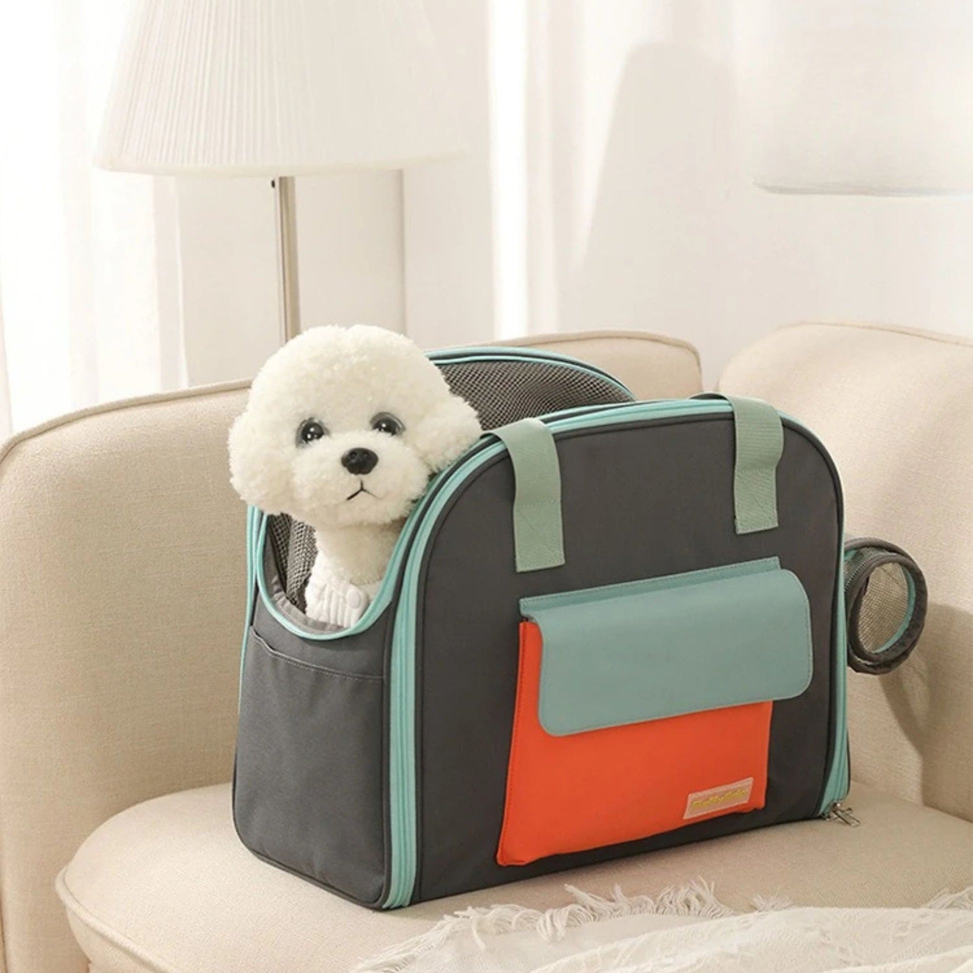 Caniche blanc dans un sac a dos pour chien de couleur bleu et vert sur un sofa