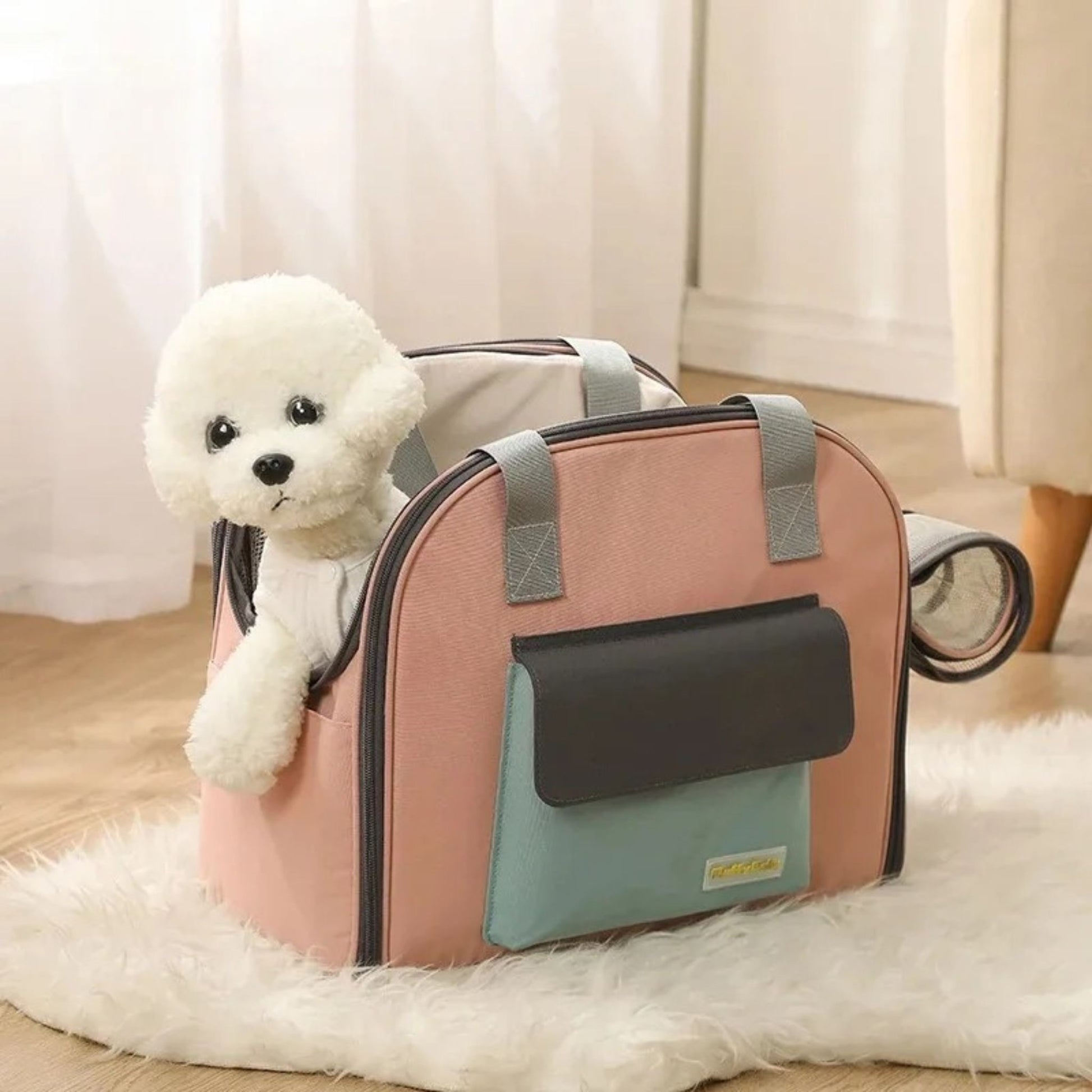 Caniche blanc dans le sac à dos pour chien de couleur rose et vert sur un tapis poilu de salon