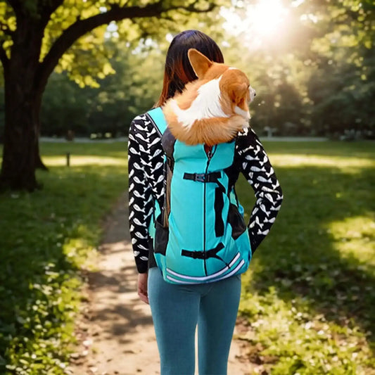 Une femme vue de dos porte un corgi dans un sac à dos pour chien turquoise dans un parc ensoleillé.