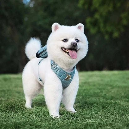Spitz japonais blanc avec son sac à dos pour chien avec harnais intégré. Sur une pelouse.
