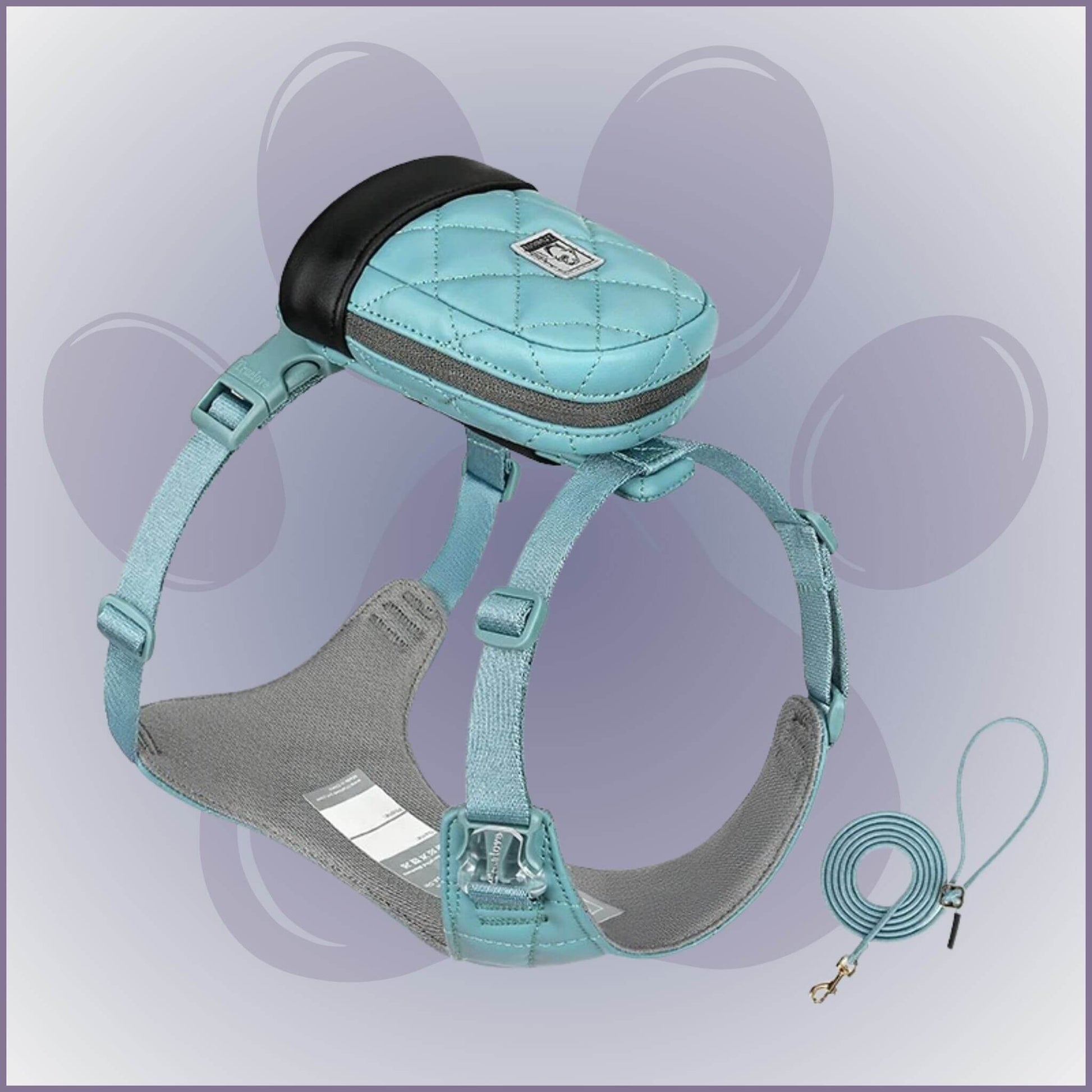 Sac à dos pour chien porté par le chien avec harnais intégré de couleur turquoise et laisse agencée.