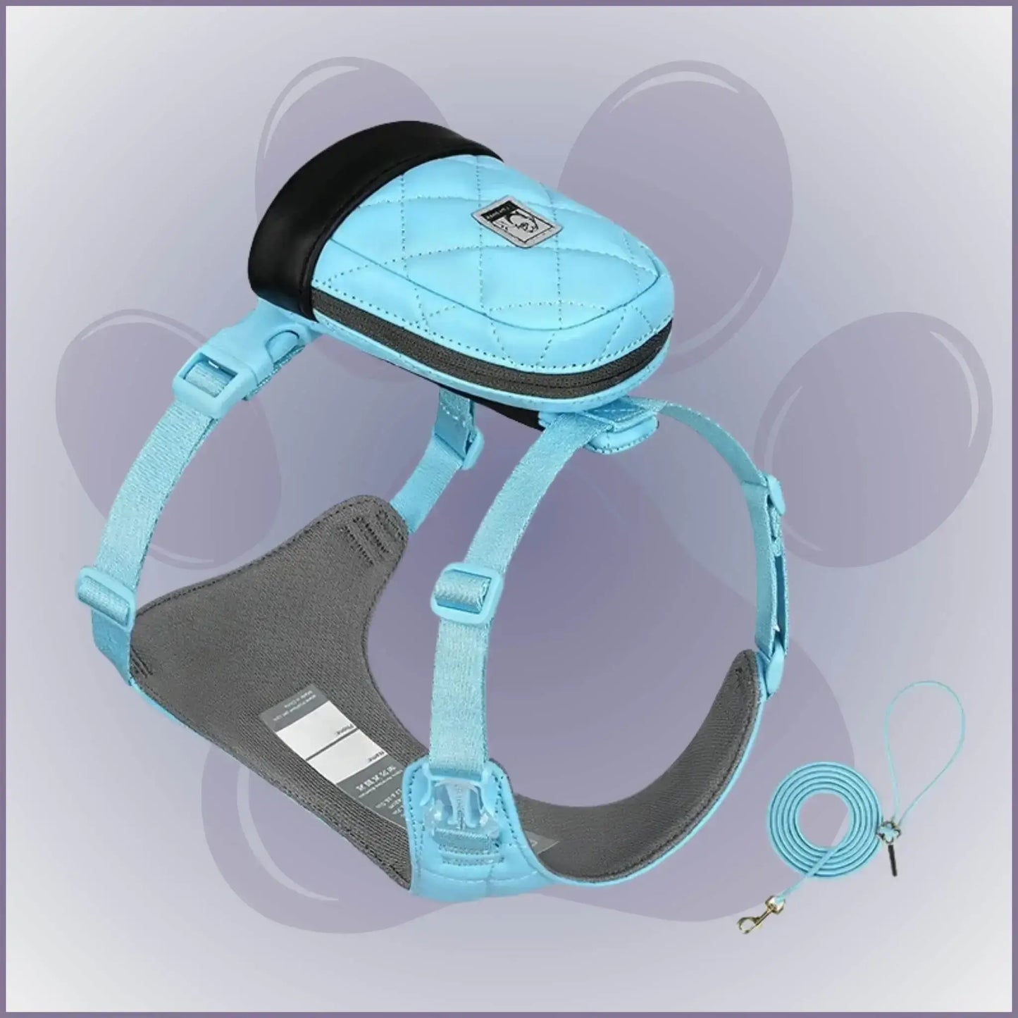 Un sac à dos pour chien avec harnais intégré de couleur turquoise et laisse assortie.