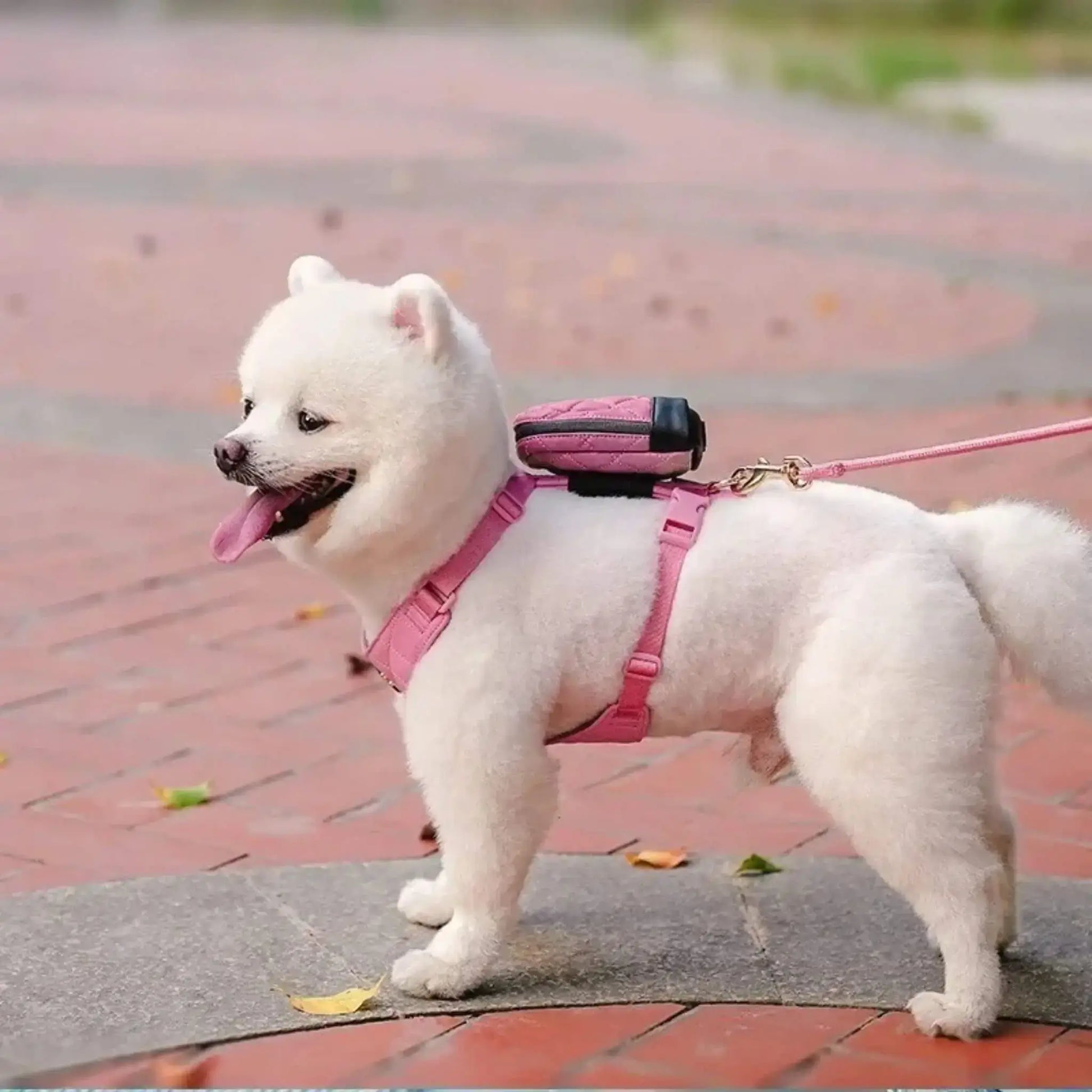 Sac à dos pour chien porté par le chien avec harnais intégré et laisse agencée de couleur rose.