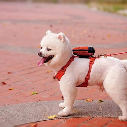 Sac à dos pour chien avec harnais intégré, et laisse agencée portée par le chien de couleur rouge.