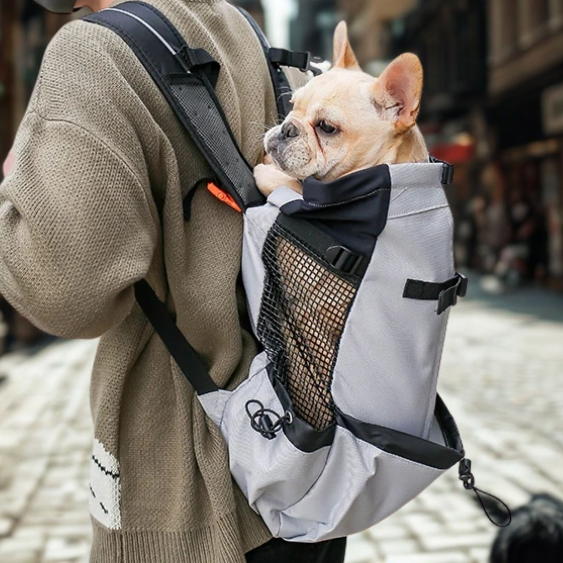 sac a dos pour chien wooftrip-bouledogue francais dos sac