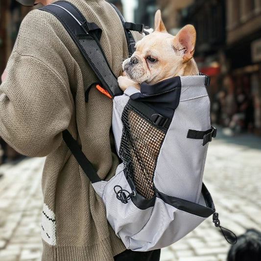 sac a dos pour chien wooftrip-bouledogue francais dos sac