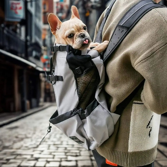 Une vue latérale d'un bouledogue français dans un sac à dos pour chien gris.