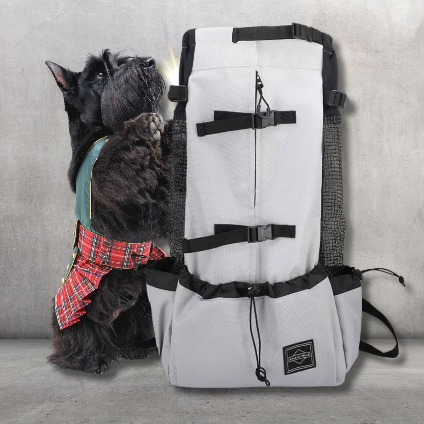 sac a dos pour chien wooftrip-couleur gris pale-schnauzer noir