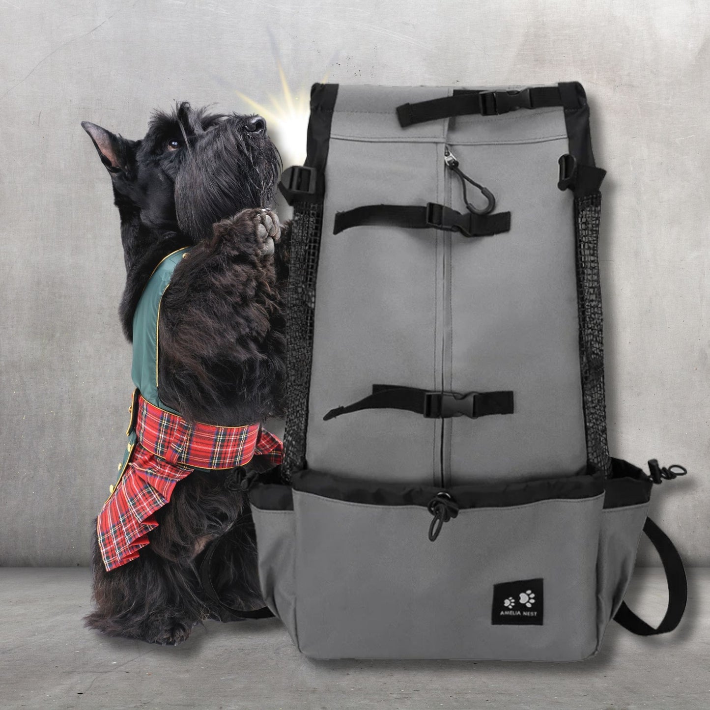 sac a dos pour chien wooftrip-couleur gris-schnauzer noir