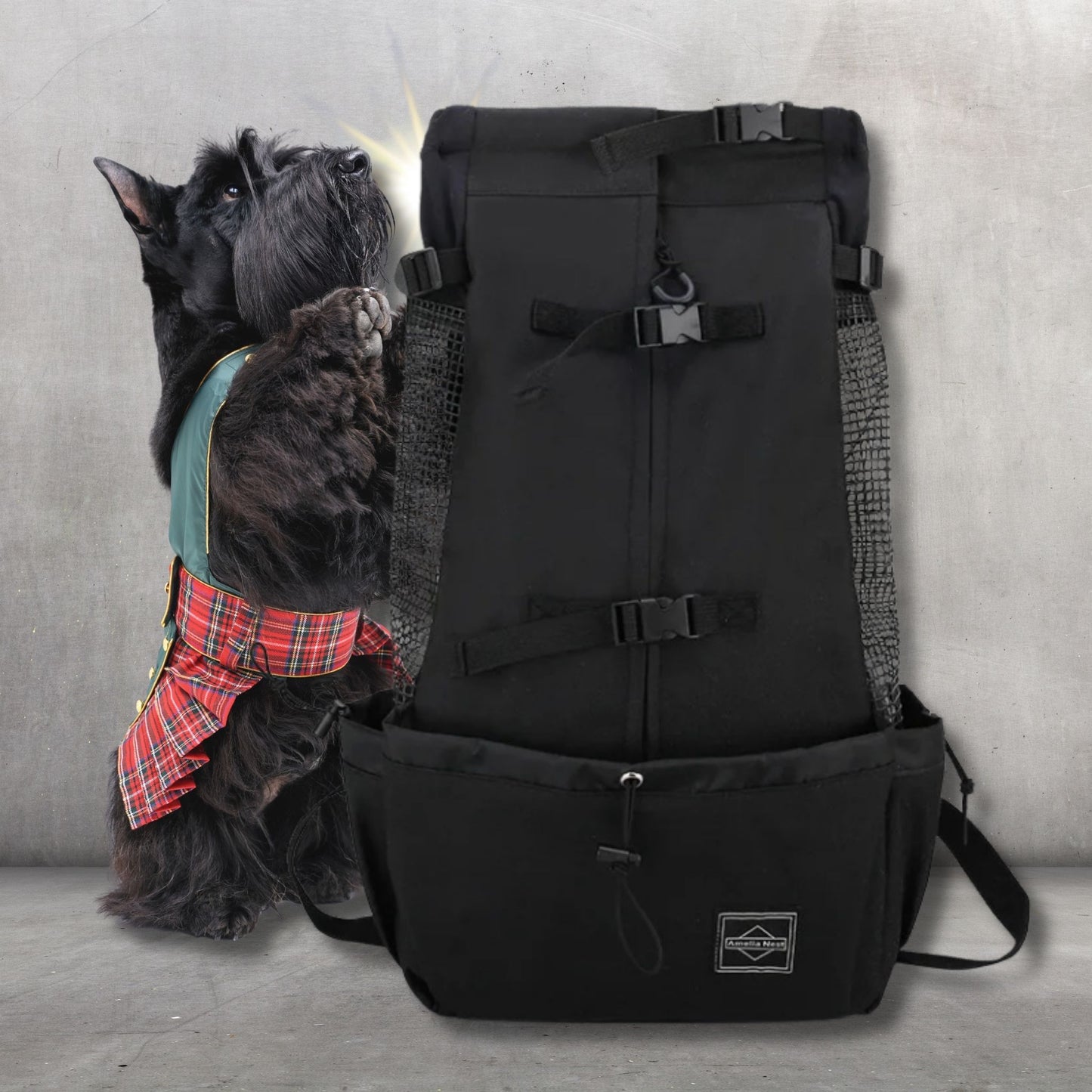 sac a dos pour chien wooftrip-couleur noir-schauzer noir