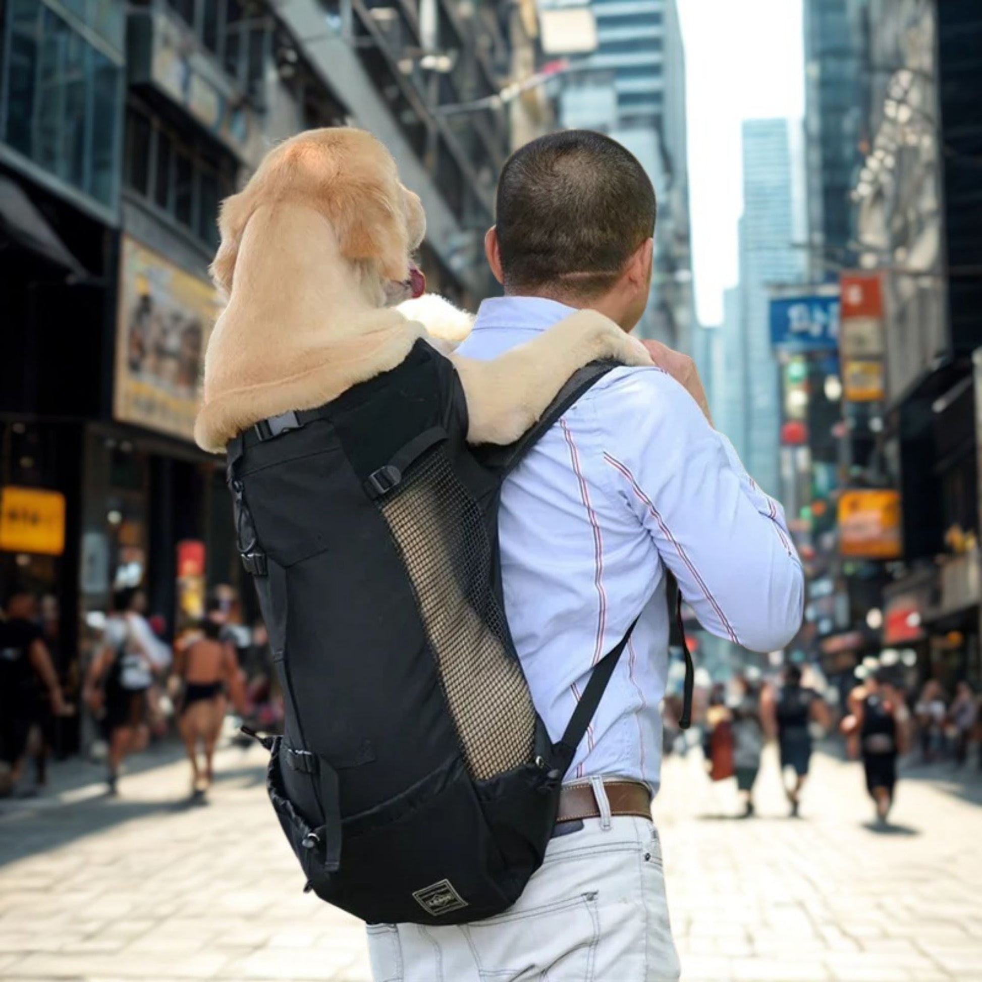sac a dos pour chien wooftrip-labrador blond dos homme