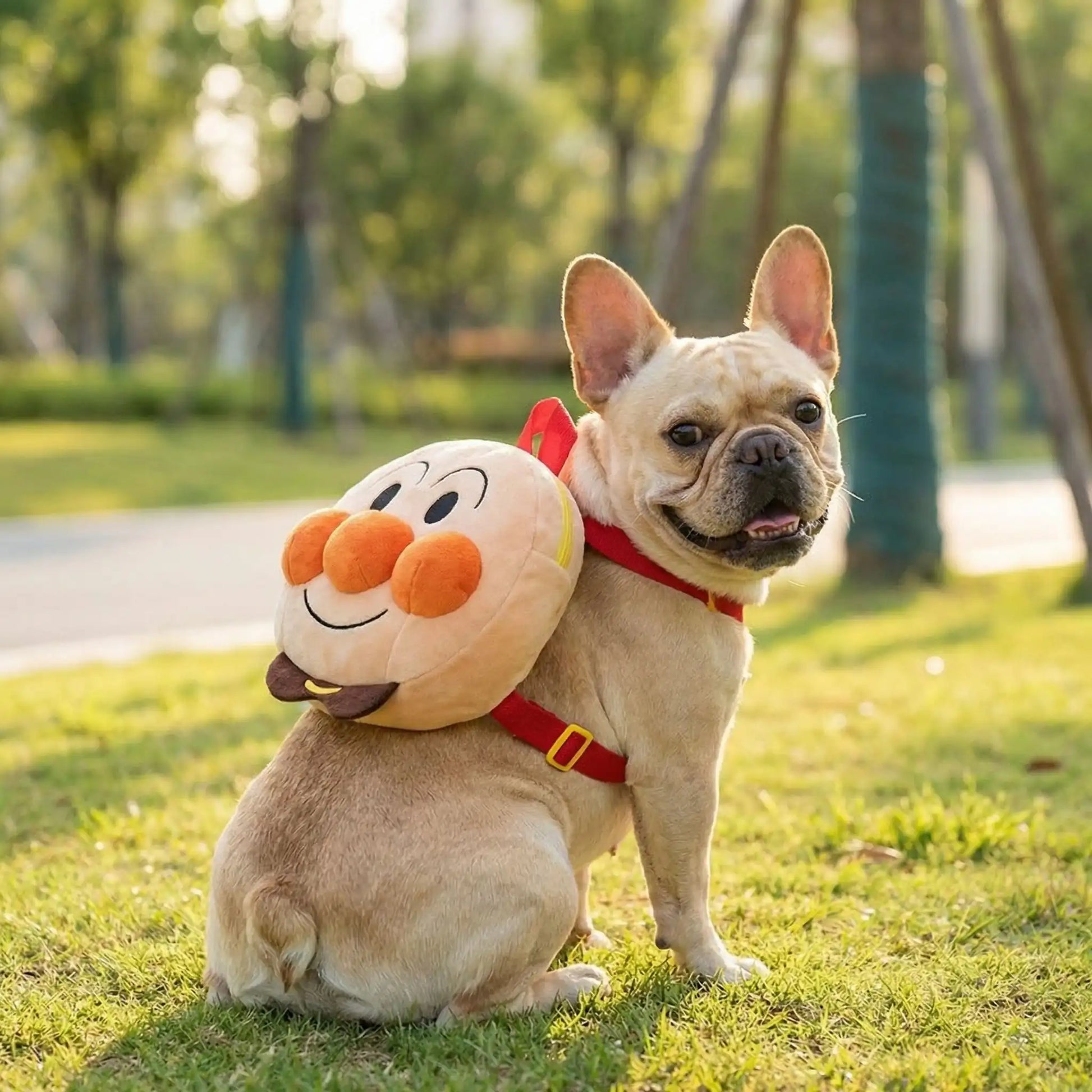 Un bouledogue français assis sur la pelouse porte un sac à dos pour chien Woofybag.