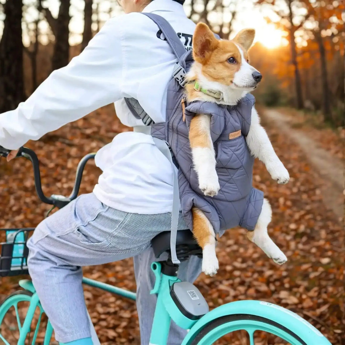 Une femme à vélo avec son corgi dans son sac à dos pour chiens gris.