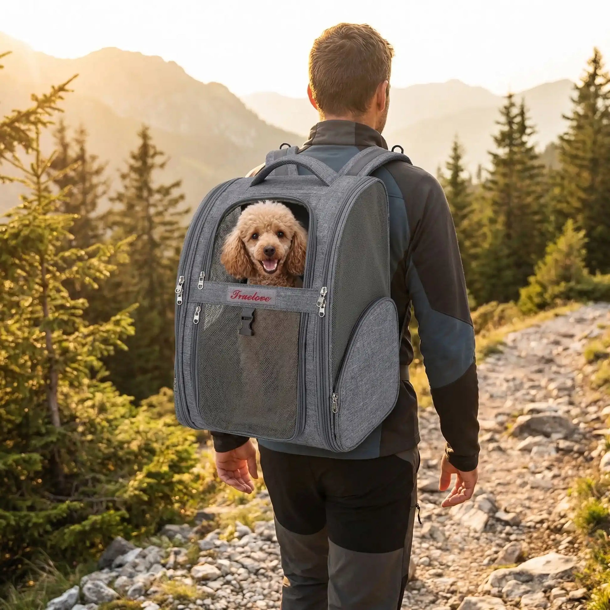 Un homme vu de dos en randonnée avec son caniche dans son sac à dos de randonnée pour chien gris.