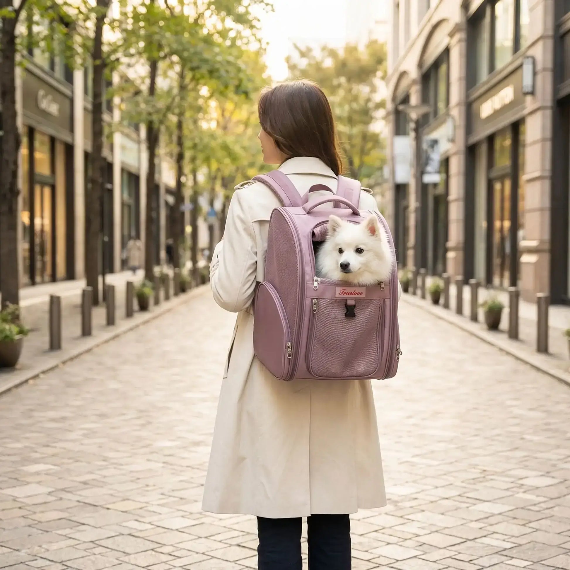 Une femme vue de dos avec son spitz japonais nain dans son sac à dos de randonnée pour chien rose en ville.