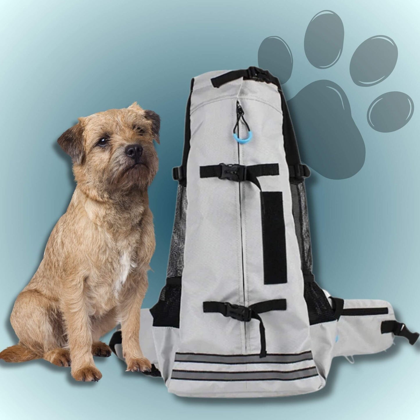 Sac de transport pour chien gris avec chien border terrier à côté