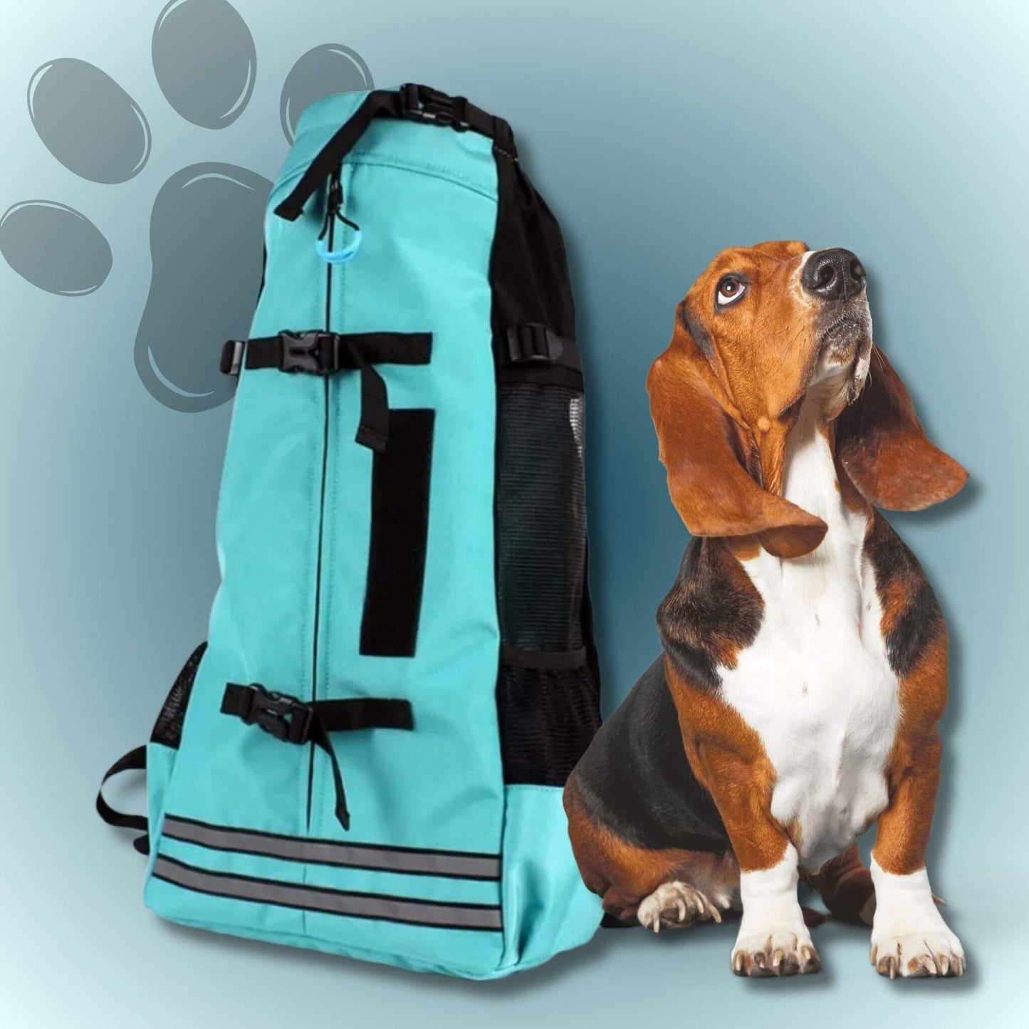 Un sac de transport pour chien turquoise avec bande réfléchissante et un chien basset hound
