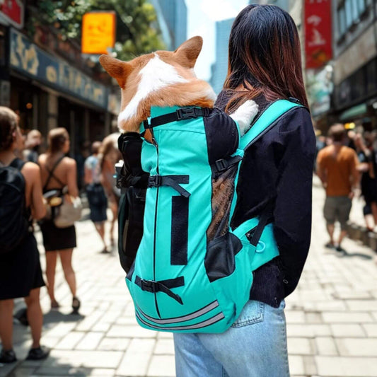 Vu de dos, une femme marchant sur un trottoir et portant un sac à dos pour chien turquoise avec un corgi