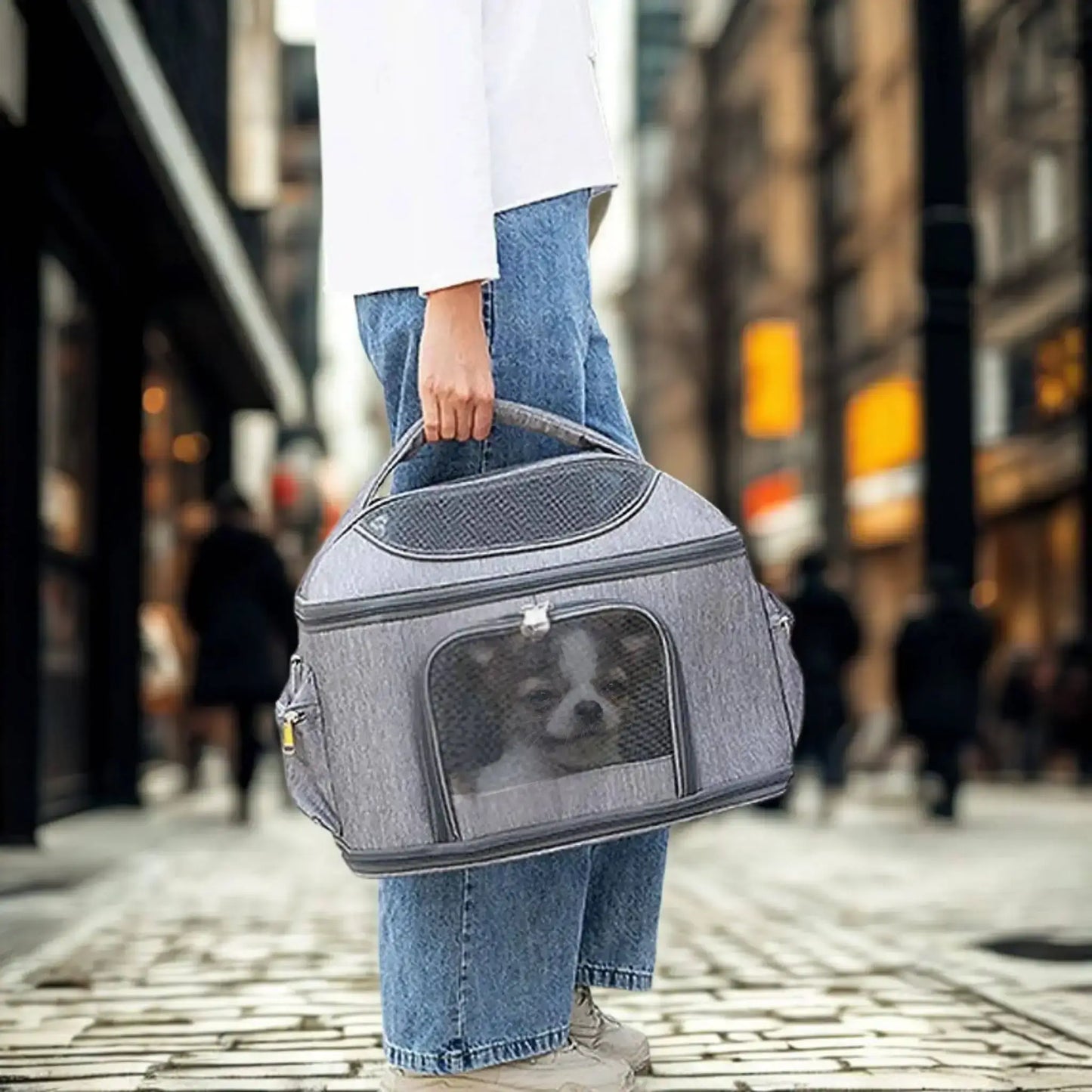 Une femme marchant tenant un sac de transport pour chien à la main dans la ville