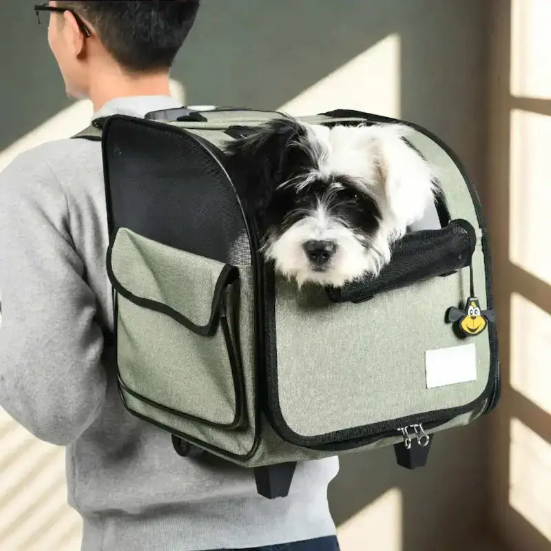 Un homme vu de dos porte le chariot pour chien vert en sac à dos avec un chien à l'intérieur.