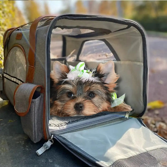 Un yorkshire allongé dans un sac de transport pour chien au sol.