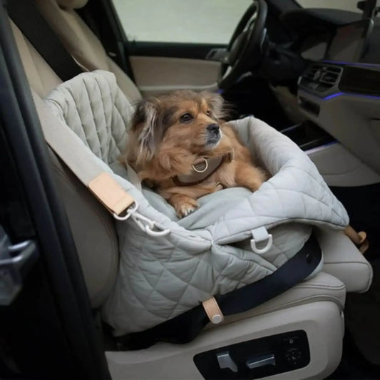 Un Pekinois dans un sac de transport pour chien sur le siège avant d'une voiture.