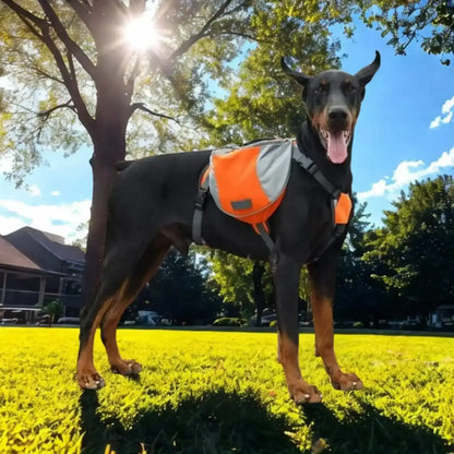 Un doberman dans une arrière-cour porte un sac à dos pour chien de couleur orange et gris