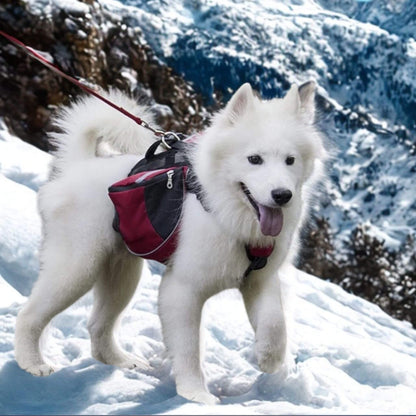 Husky blanc dans les montagnes de neige avec son sac dos pour chien et son harnais intégré rouge