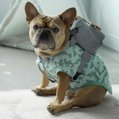 Bouledogue français fauve avec un chandail vert vu de côté avec son sac à dos pour chien gris