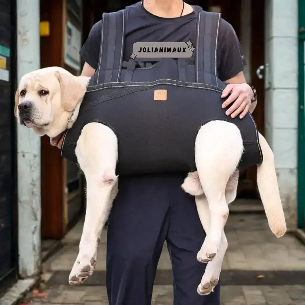 Un homme porte son labrador en avant avec le sac de portage pour chien de randonnée.