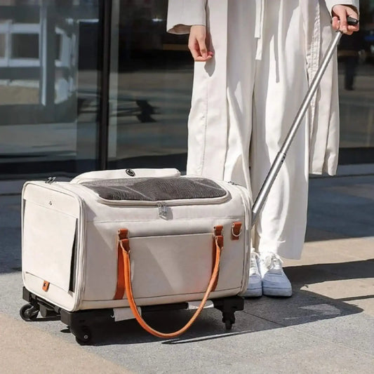 Un sac pour le transport de chien blanc avec une femme sur le trottoir devant un magasin.