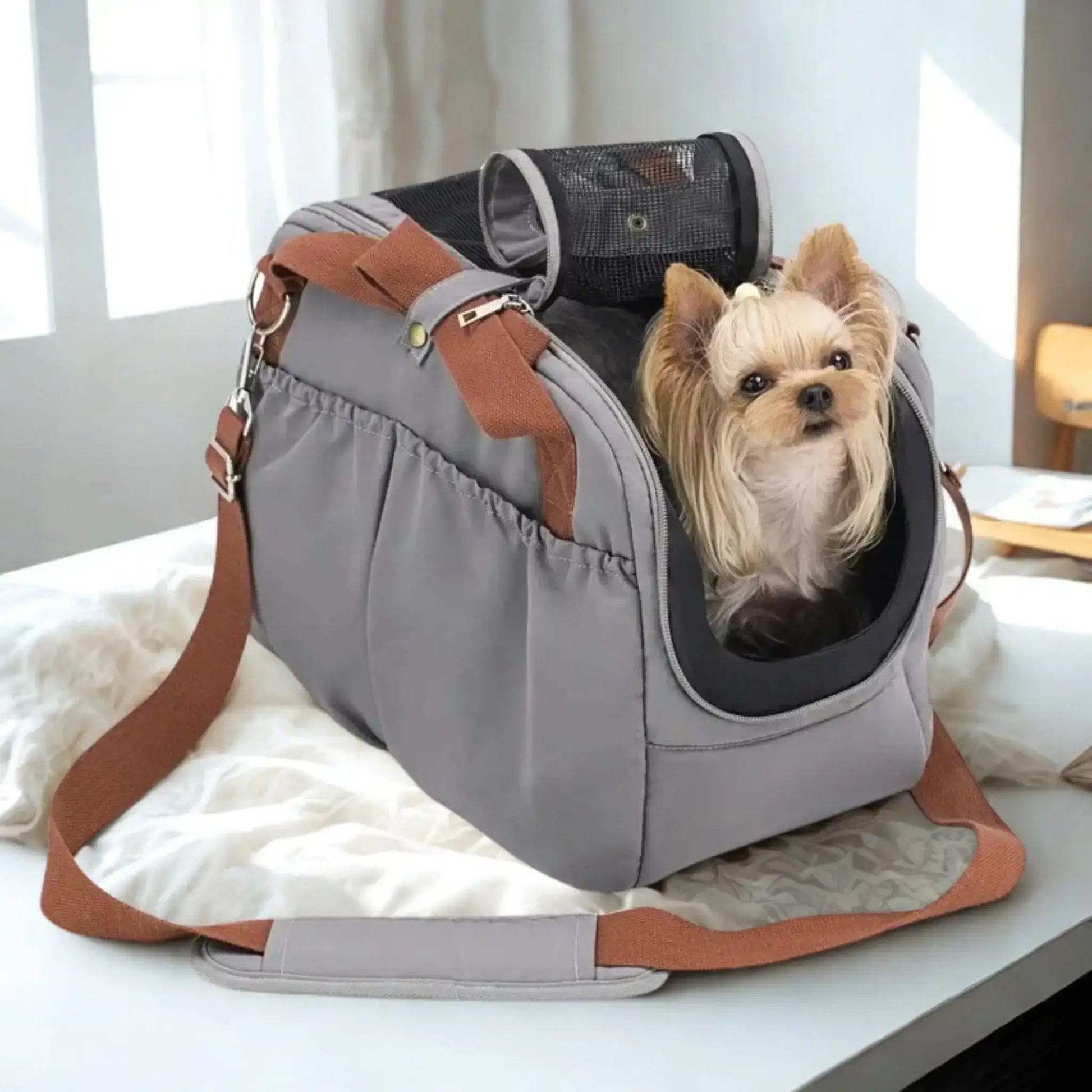 Sur une table blanche, un chihuahua dans un sac pour transporter un chien PupHike. 