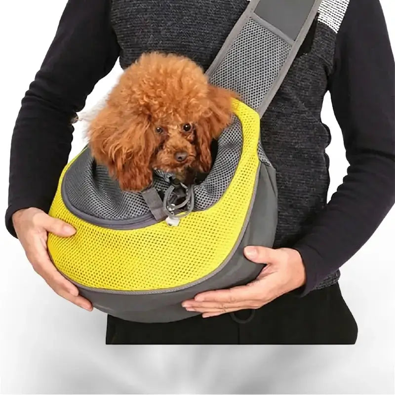 Un caniche dans un sac de transport jaune.
