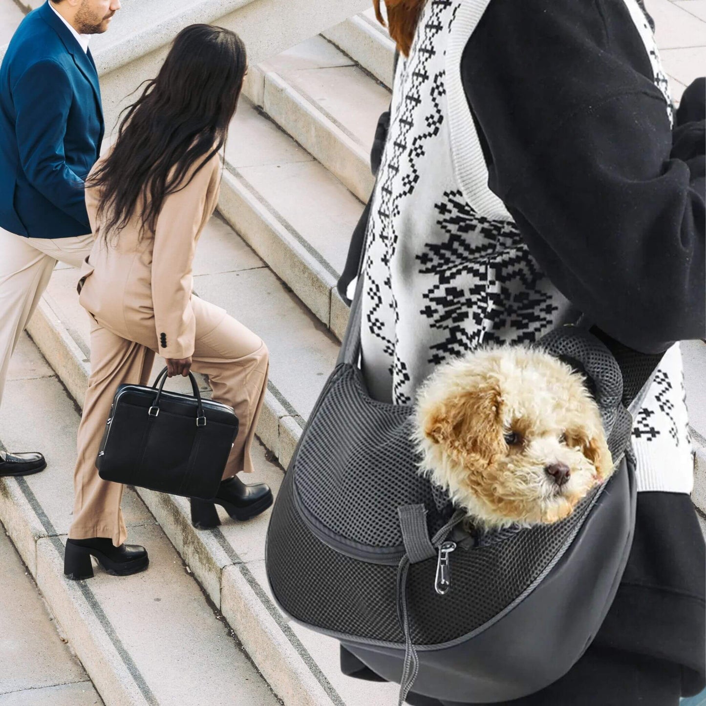 Une femme portant un sac pour chien avec un Shih Tzu dans des escaliers avec d'autres individus 