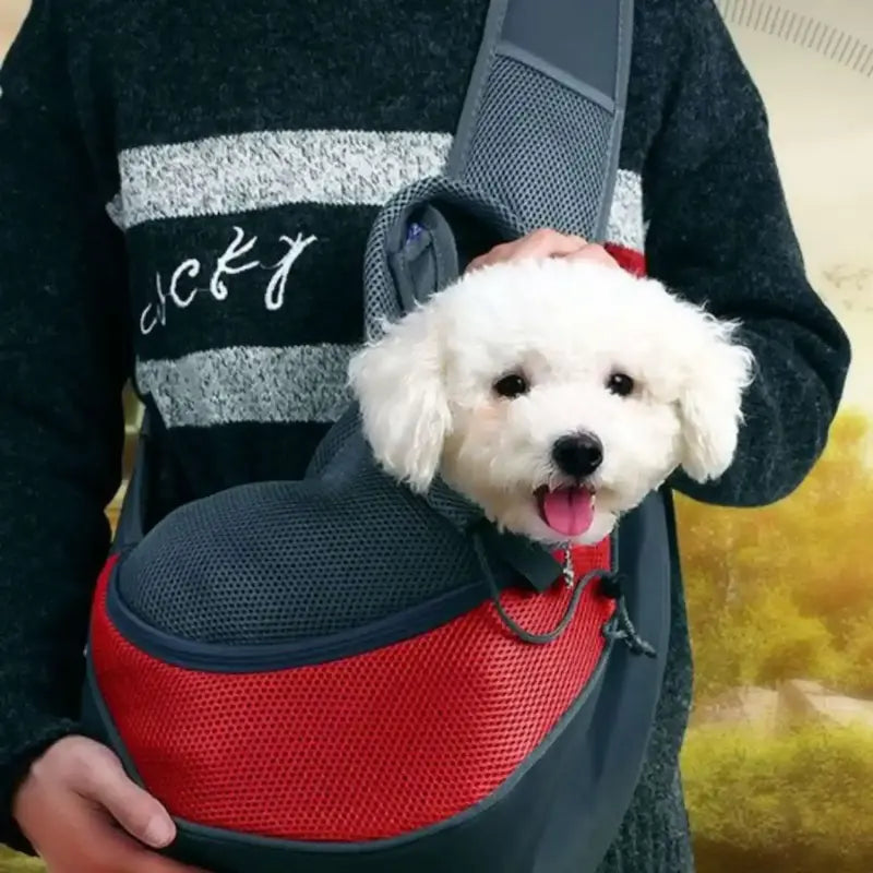 Un homme porte un sac pour chien en bandoulière avec un bichon frisé blanc.