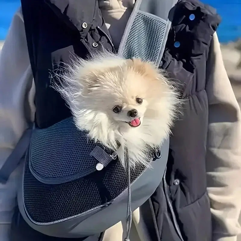 Un poméranien dans un sac de transport noir porté par un individu.