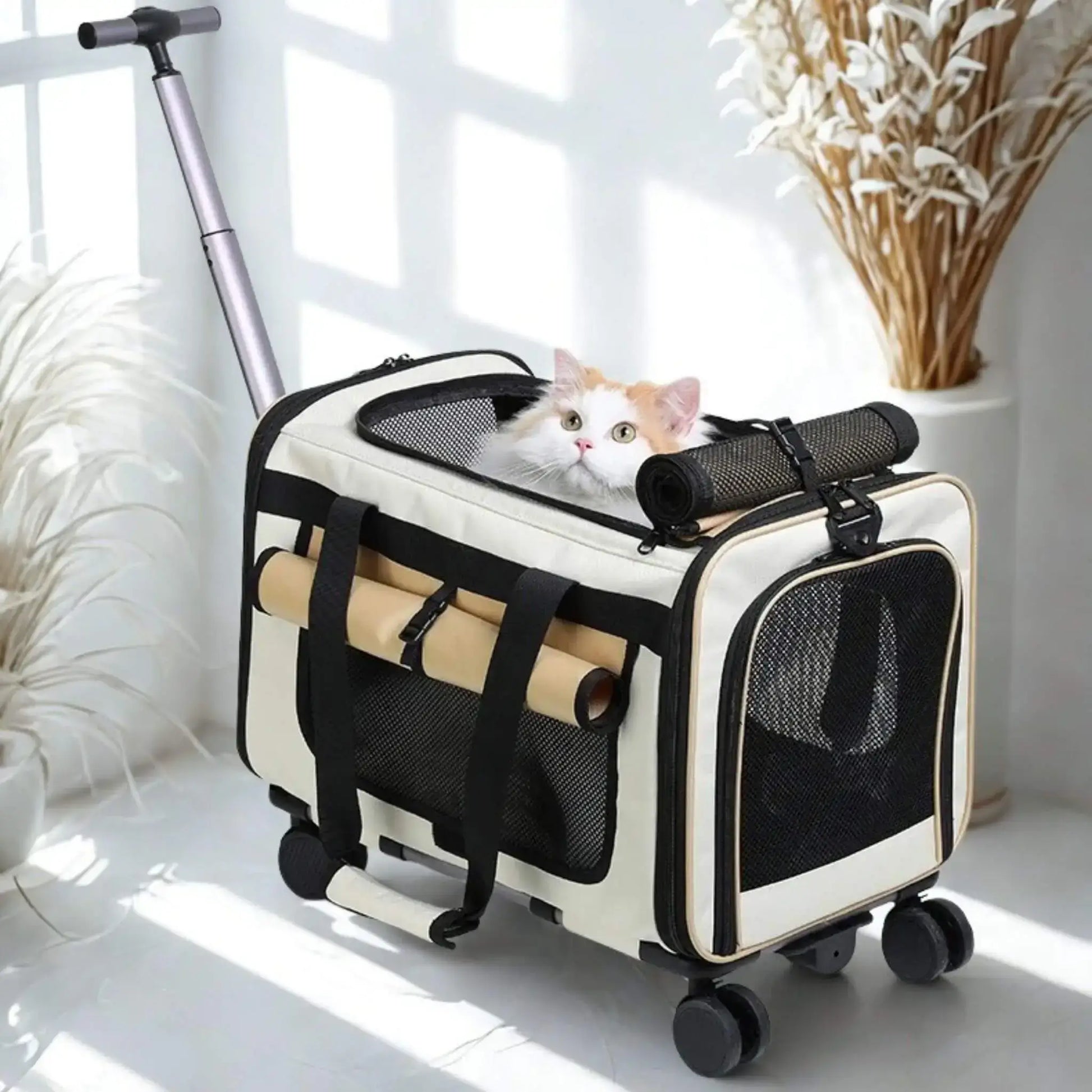 Sac de transport pour petit chien avec un chat à l'intérieur.