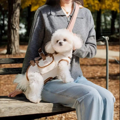 Bichon blanc sur les genoux de son son maitre sur un banc de parc