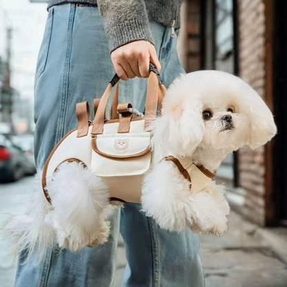 Le caniche blanc est porté par son maître à la main grâce à la poignée.